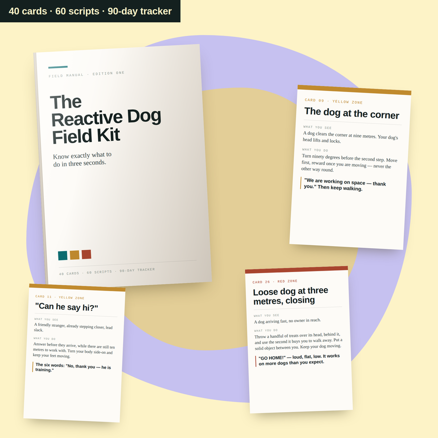 The Reactive Dog Field Kit: the printed cover with three decision cards fanned around it — the corner dog, the loose dog at three metres, and the "Can he say hi?" script.